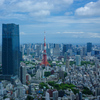 夏の東京タワー