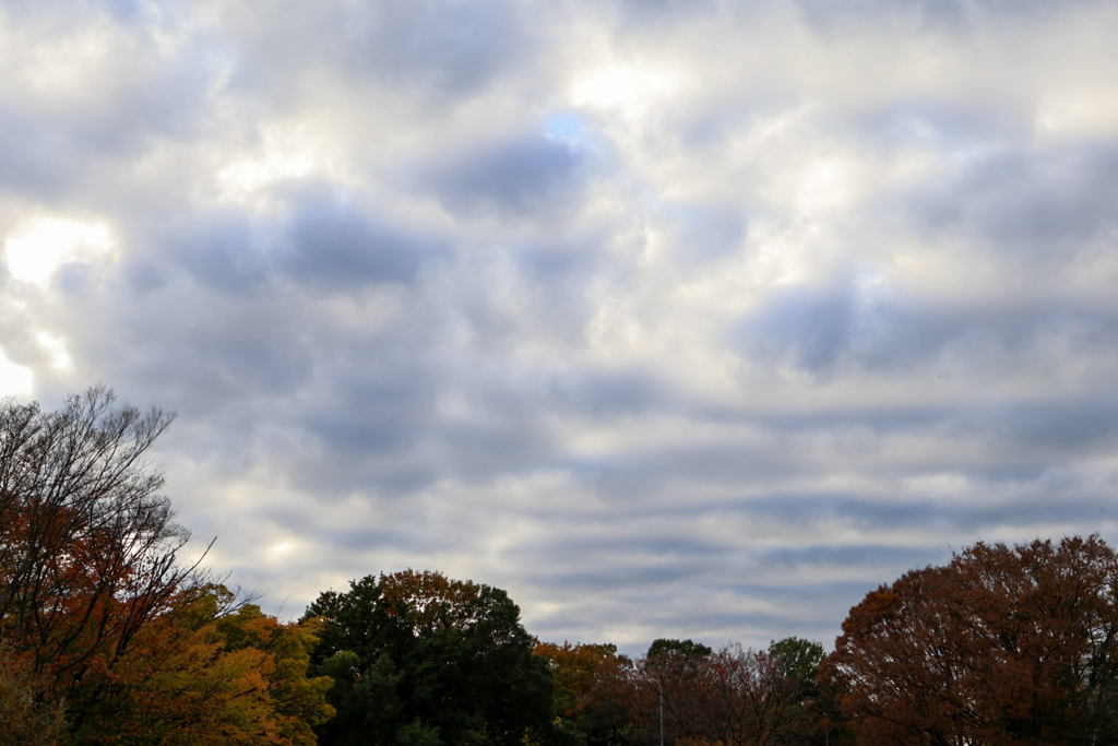 秋の曇り空