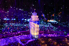 湘南の宝石（2025）