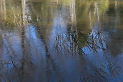 池の氷