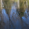 池の氷