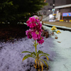 一昨日の雪