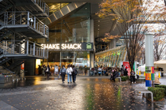 雨上がりの国際フォーラム