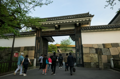 武道館へ