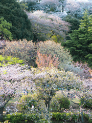 三ツ池公園