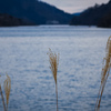 冬の宮ヶ瀬湖