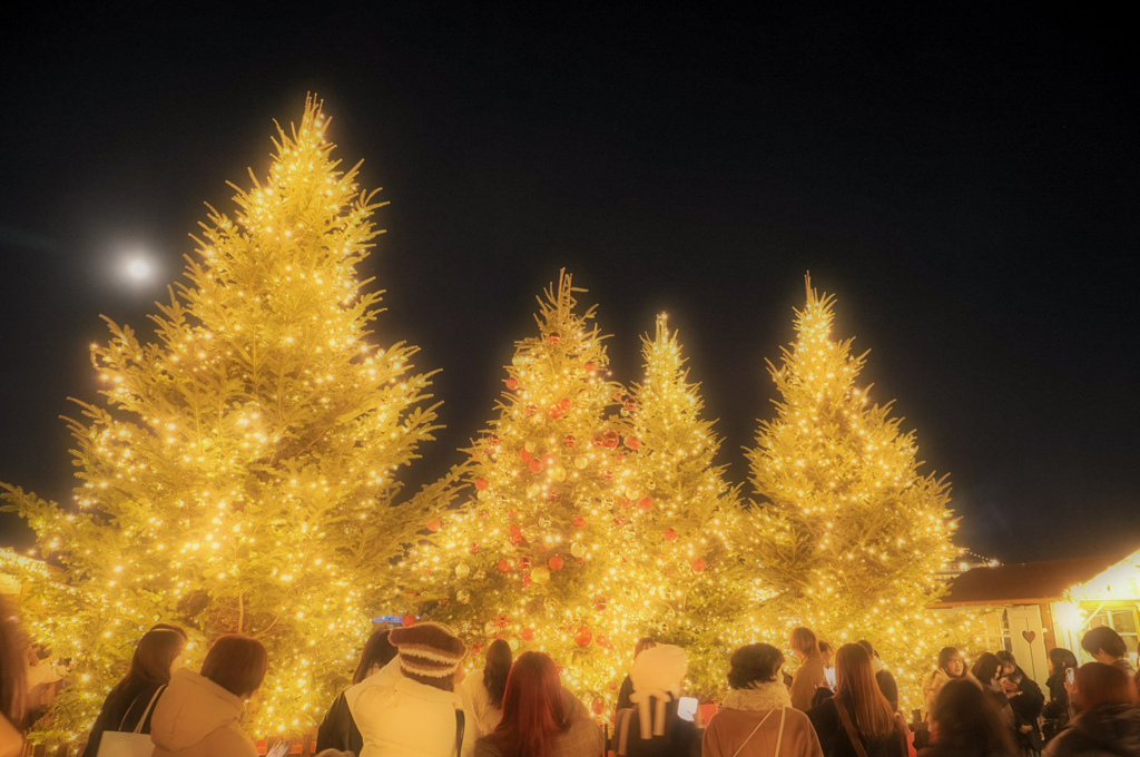 月夜のクリスマスマーケット