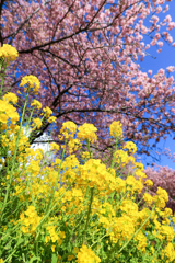 １年に一度は見ておきたい組み合わせ