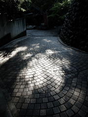 晩夏の光と影