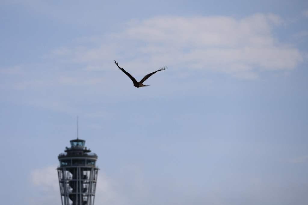 江ノ島の空