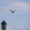 江ノ島の空