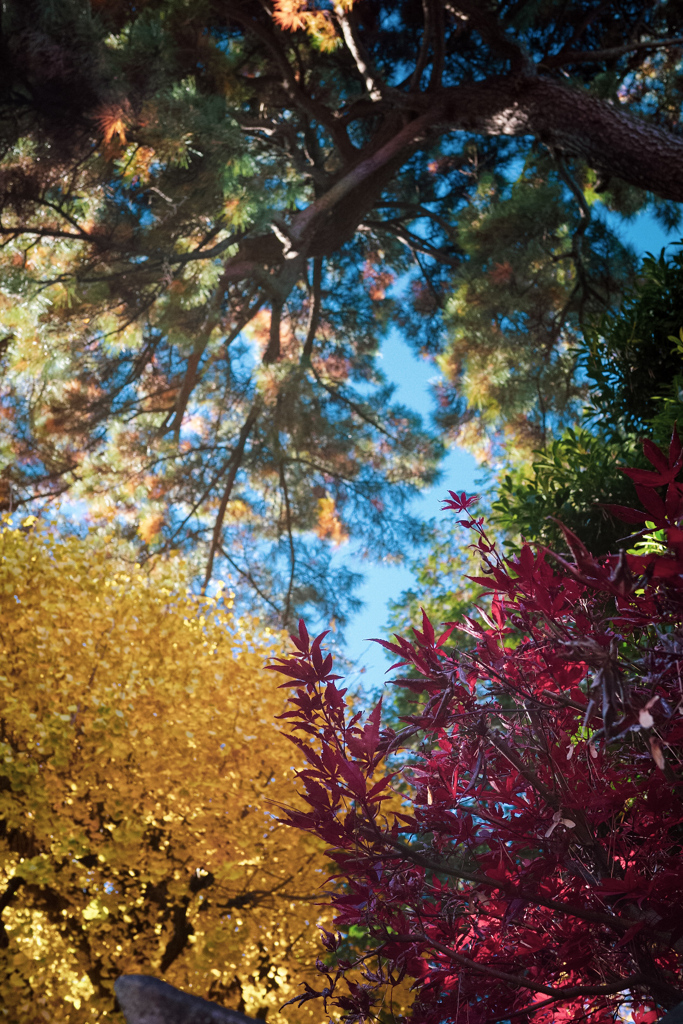 奥澤神社