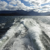 ON THE LAKE