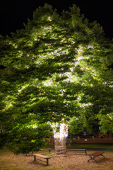 Illuminated