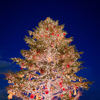 Happy Christmas