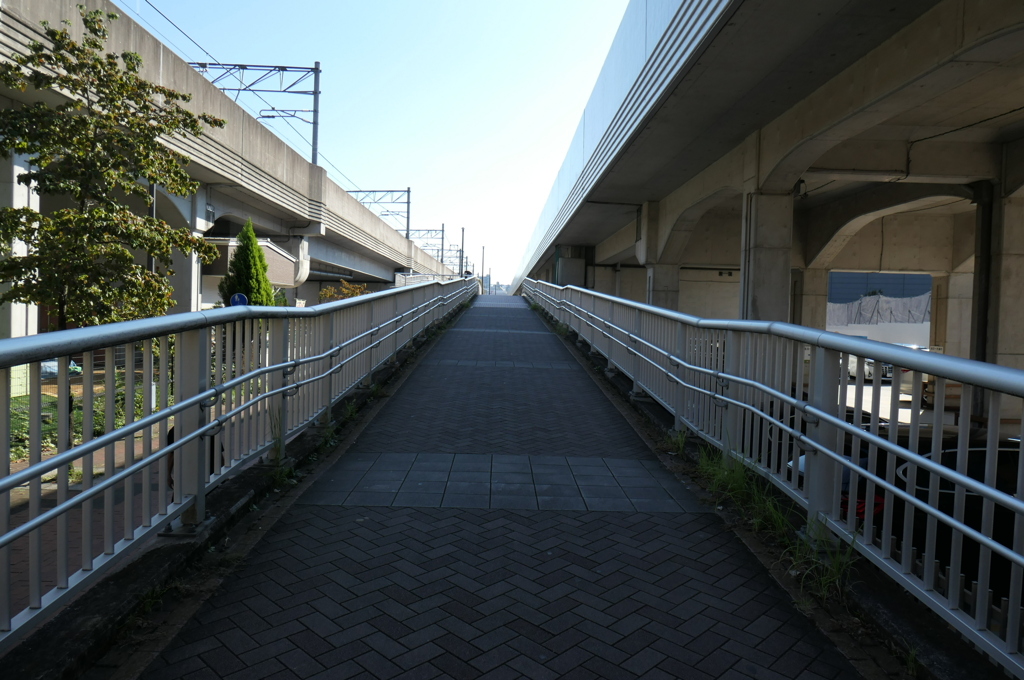 遠近法