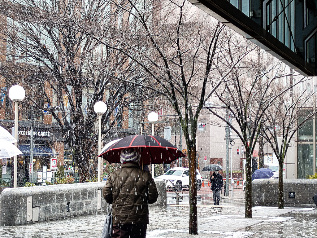 なごり雪