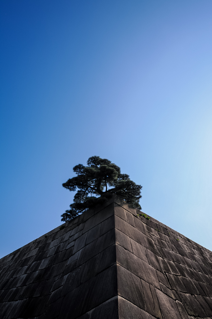 江戸城 天守台