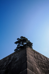 江戸城 天守台