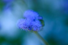 Color of silence