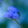 Color of silence