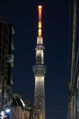 スカイツリー by night