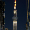 スカイツリー by night