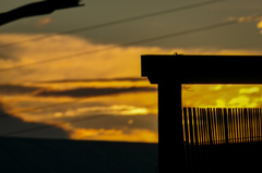 いつかの夕焼け