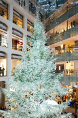 KITTEクリスマス