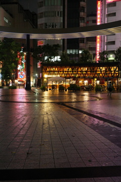 雨の夜景