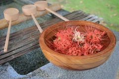 彼岸花のお寺