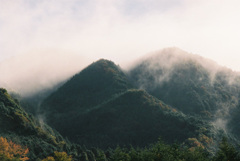 雨上がりの山