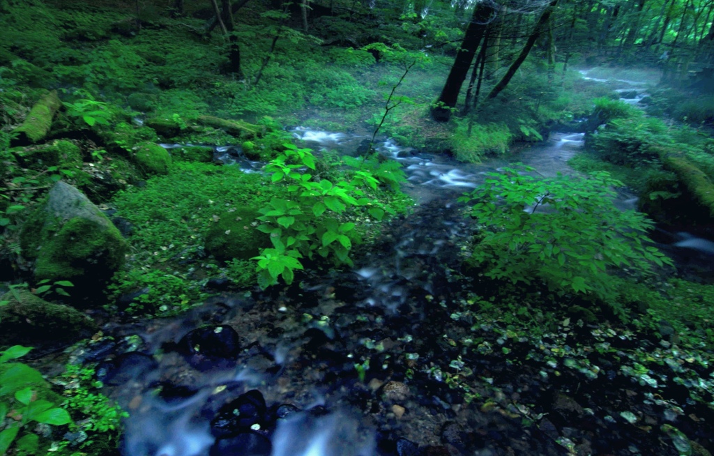 川霧の景