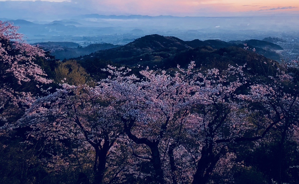 日の出に染まる