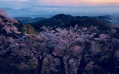 日の出に染まる