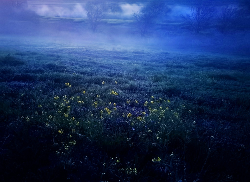 霧花
