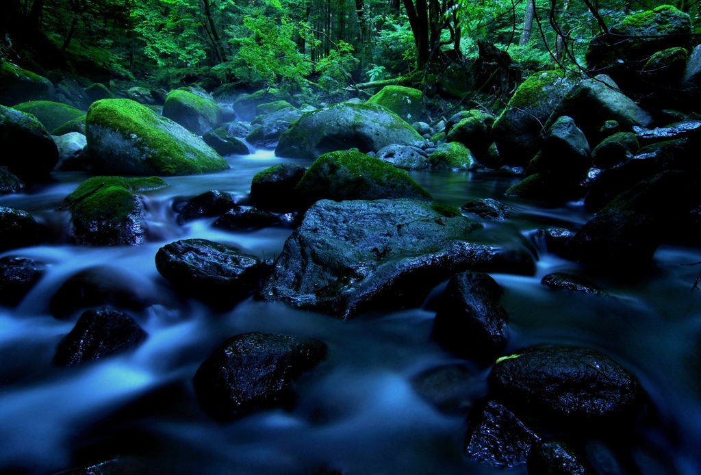 川霧の景