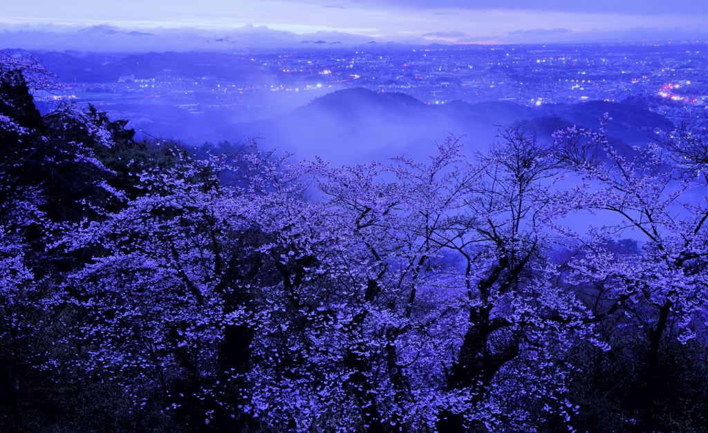雨霧流れて