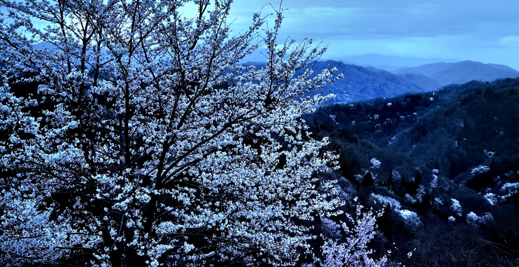 陸郷の春