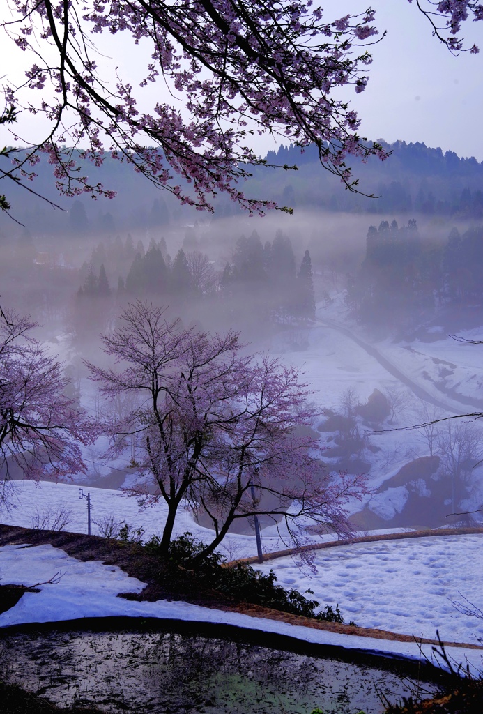 雪国の春