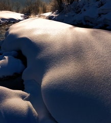 雪積もる