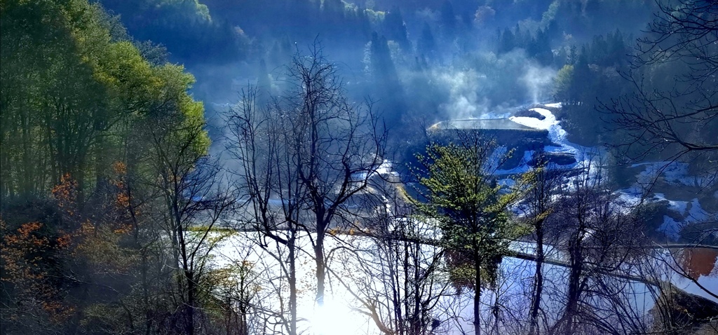 新緑の景