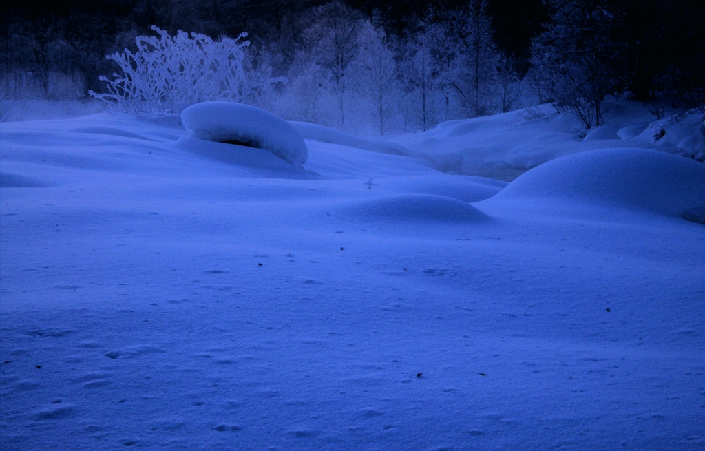 ブルーモーメントの雪原