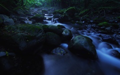 湧水の流れ