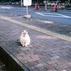 門番