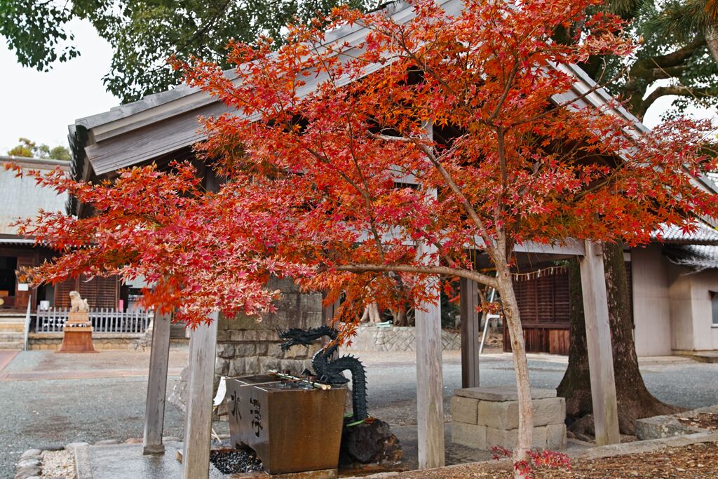 SDQH0234 菟足神社