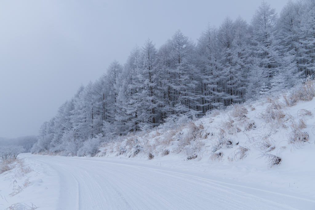 雪