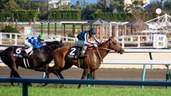 中京競馬第12レース　プリマヴィスタ