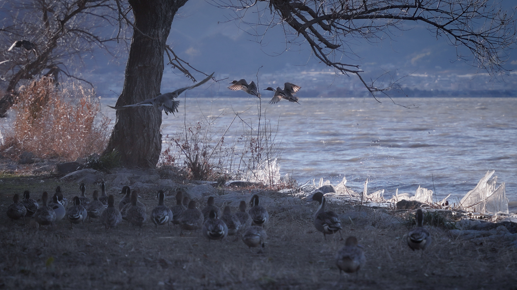 Freezing Lake