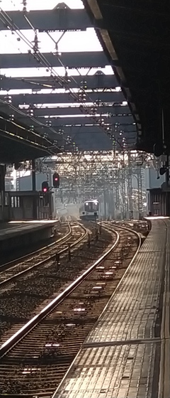 普段の景色が